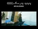 پدر سگ