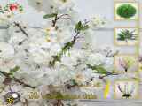 فروش شکوفه هلو گل درشت مصنوعی سفید رنگ | فروشگاه ملی