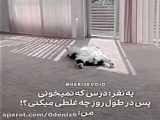 ویدیو مود