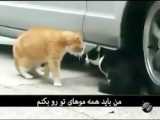 حرف دل دختر ماشین باز
