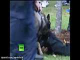 هلند / حمله سگ های پلیس به معترضان آمستردام