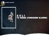 دانلود رایگان آهنگ تراپ مخصوص سیستم AxLi - Ya Habibi
