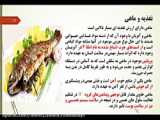 علوم نهم درس 14