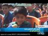 توضیحات کشتی