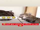 کلیپ جدید جشن تولد