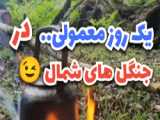 اینجا ییلاق ما در منطقه کجور شهرستان نوشهر در استان مازندران