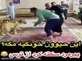 شوخی خرکی_خنده_کیلیپ_طنز