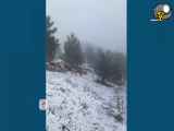 اتفاق عجیب بارش برف  در مازندران اردیبهشت ماه