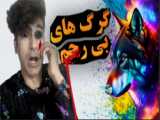 جوجه رنگی هام