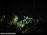 محسن چاوشی | شبی که ماه کامل شد
