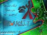 صدای مرغ از شرکت خودرو فروش