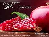 جشن شب یلدا 1402