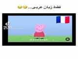 آقا رضا