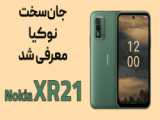 بررسی اسب های نژاد هر کشور