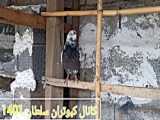 چالش تغییر کبوتر