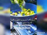 آبغوره گیری/آبلیموگیری/آبگیر انار /آبلیمو پرسی صنعتی بازارطلایی ۰۹۹۲۵۰۴۰۶۶۳