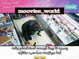 سکانس طنز فیلم چشم و گوش بسته