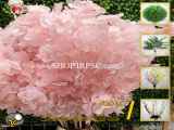 فروش شاخه شکوفه مصنوعی کالباسی رنگ| فروشگاه ملی