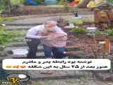 عشق پدر و مادر بزرگ