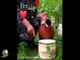 این سبک زندگی چند؟