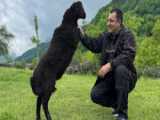محصولات تخصصی و خاص آشپزی جم‌سا