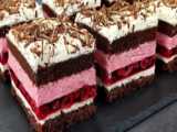 طرز تهیه شیرینی لذیذ خانگی :: آموزش کیک و شیرینی های خاص خانگی