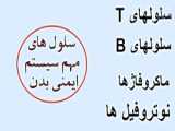 طرز ساخت پودر کلاژن خالص و طبیعی در منزل برای درد مفاصل، پوست و مو کلاژن تایپ یک