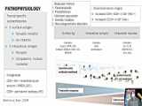 Management of Autoimmune Epilepsy / Dr. S Haghighi