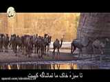  شعر و  دکلمه  رضا_حدادیان