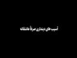 جهان آرا | پناهیان: حضور صرف نیروهای جهادی در دولت کفایت نمی‌کند!