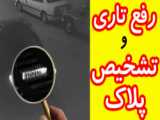 تشخیص پلاک تار