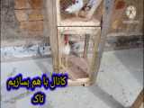 ساخت  قفس کبوتر  09353894379