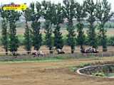 ماجراهای من