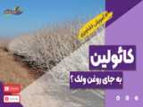 کاشت ابرو با 95 درصد سفیدی مو مگه میشه؟؟؟