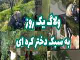 ولاگ کره ای کیوت خوراکی
