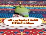 سخنگوترین طوطی ایران