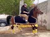 سوارکاری دختر ایرانی با اسب کرد
