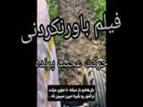 ۴۷ روز از زندگی پرنده در ۳ دقیقه
