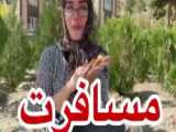 سرنا امینی. طنز