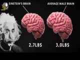 عاقبت مغز انیشتین بعد از مرگ