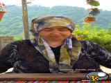 اشپزی  ،،ساندویج_مرغ،،