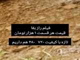 سییییییییییی رونالدو
