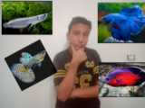 ناز کردن عروس هلندی من