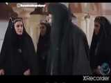 *حیوانات در طبیعت *