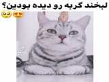 لیسا با بچه کوچولو