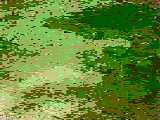 زندگی نامه رونالدو (۳)