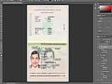 Yemen passport template in PSD format  fully editable