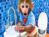 حیوانات خانگی - کلیپ بچه میمون بازیگوش - بازی با توله سگ