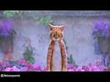 فیلم سینمایی گربه چکمه پوش (دوبله فارسی) انیمیشین سینمایی گربه چکمه پوش