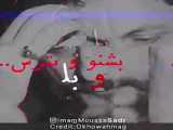 علی (ع) از زبان شهید مطهری